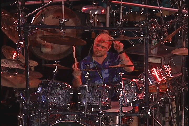 Steve in concert